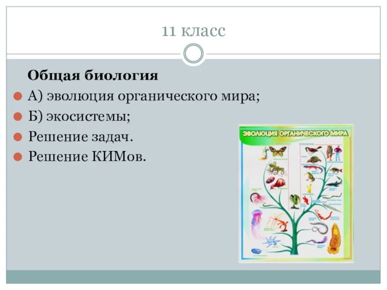 11 класс Общая биология А) эволюция органического мира; Б) экосистемы; Решение задач. Решение КИМов.