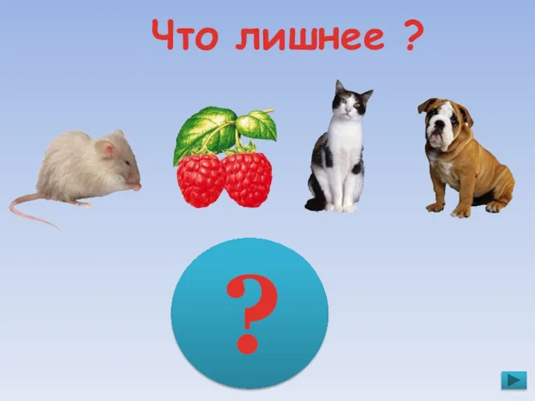 ? Что лишнее ?