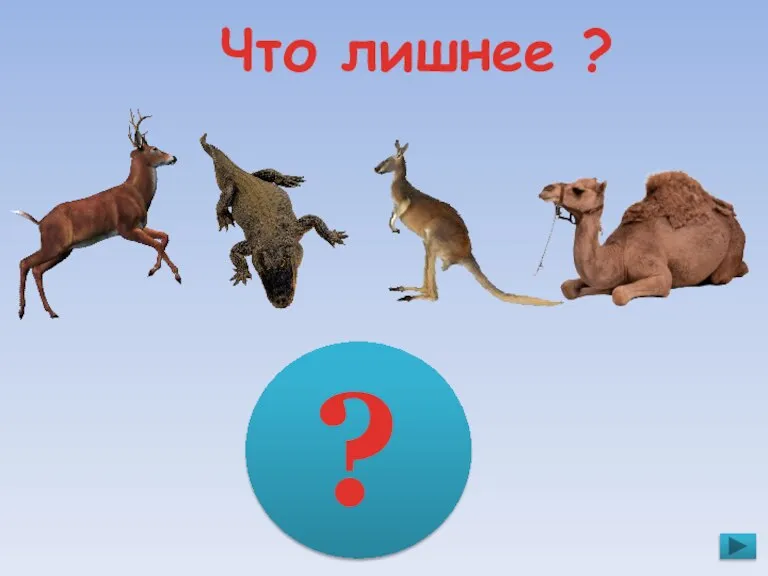 Что лишнее ? ?