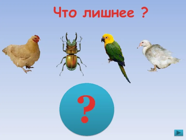 Что лишнее ? ?