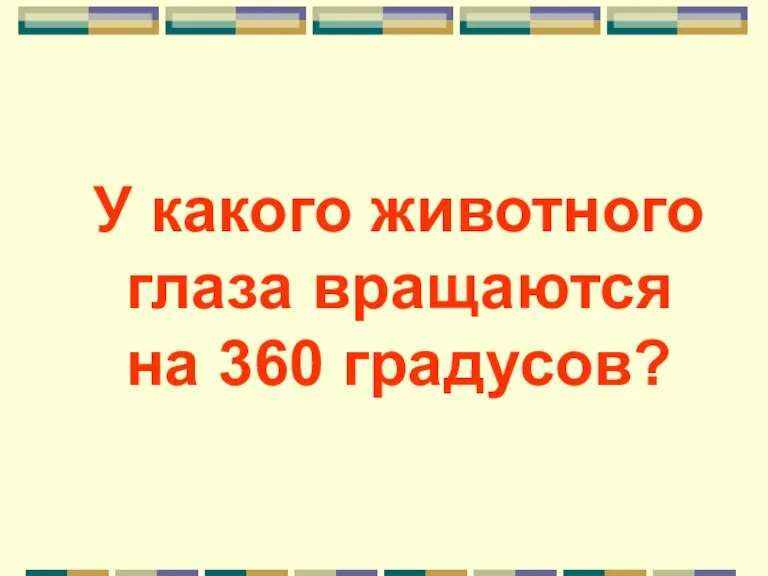 У какого животного глаза вращаются на 360 градусов?