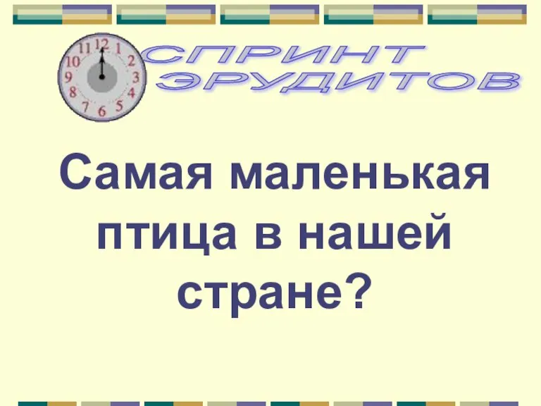 Самая маленькая птица в нашей стране?