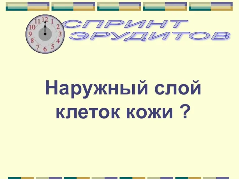 Наружный слой клеток кожи ?