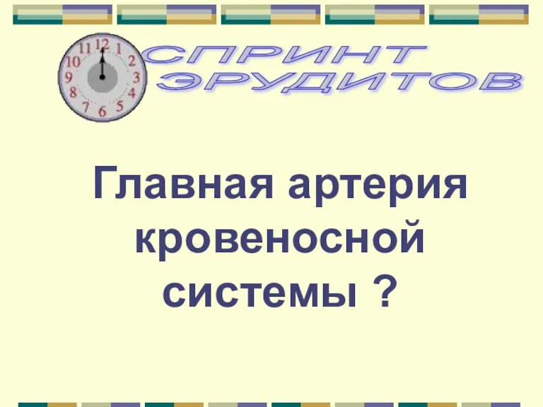 Главная артерия кровеносной системы ?