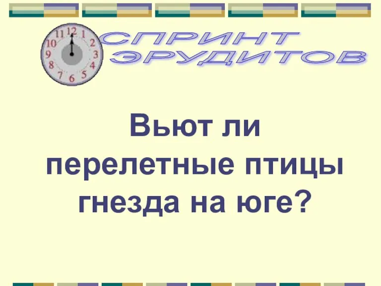 Вьют ли перелетные птицы гнезда на юге?