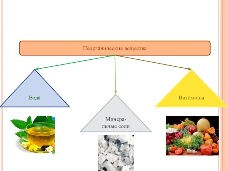 Вода Минера- льные соли Витамины Неорганические вещества