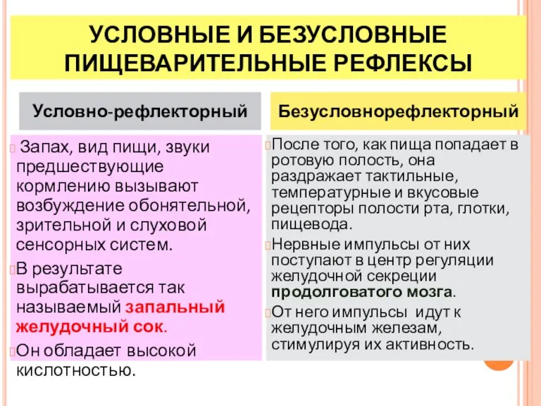 УСЛОВНЫЕ И БЕЗУСЛОВНЫЕ ПИЩЕВАРИТЕЛЬНЫЕ РЕФЛЕКСЫ Условно-рефлекторный Запах, вид пищи, звуки предшествующие кормлению