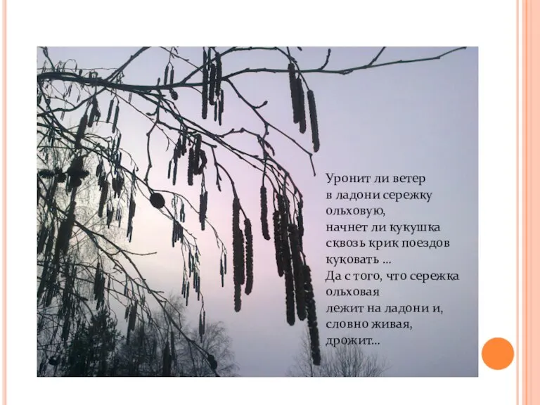 Уронит ли ветер в ладони сережку ольховую, начнет ли кукушка сквозь крик