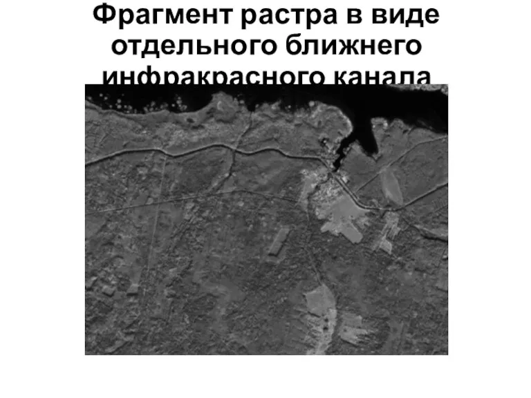 Фрагмент растра в виде отдельного ближнего инфракрасного канала