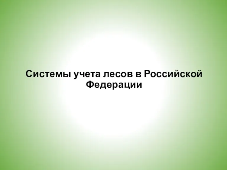 Системы учета лесов в Российской Федерации