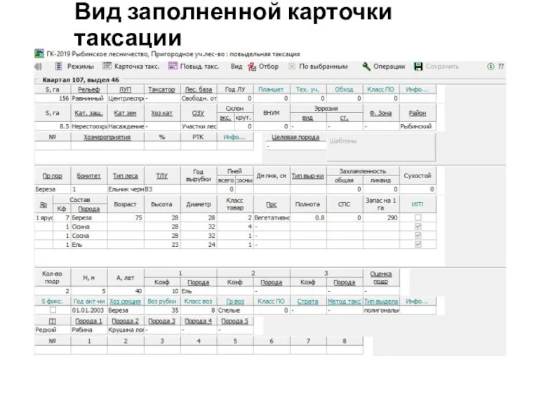 Вид заполненной карточки таксации