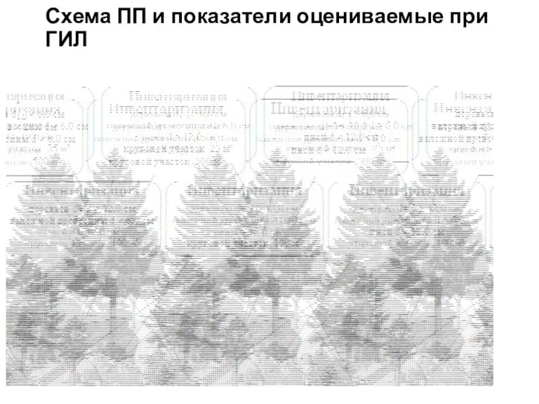 Схема ПП и показатели оцениваемые при ГИЛ