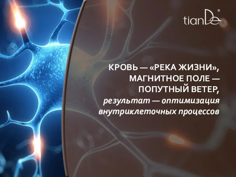 КРОВЬ — «РЕКА ЖИЗНИ», МАГНИТНОЕ ПОЛЕ — ПОПУТНЫЙ ВЕТЕР, результат — оптимизация внутриклеточных процессов