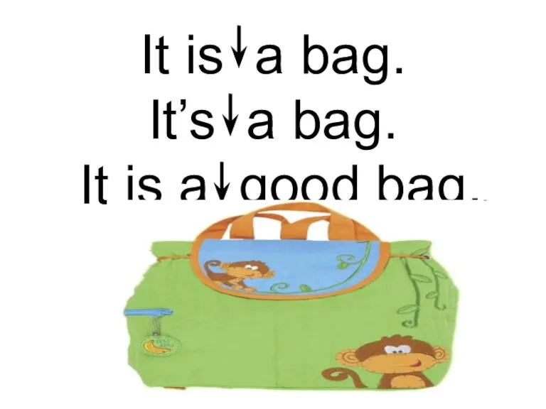 It is a bag. It’s a bag. It is a good bag.