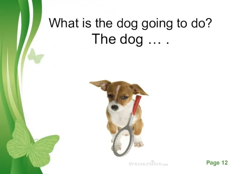 What is the dog going to do? The dog … .