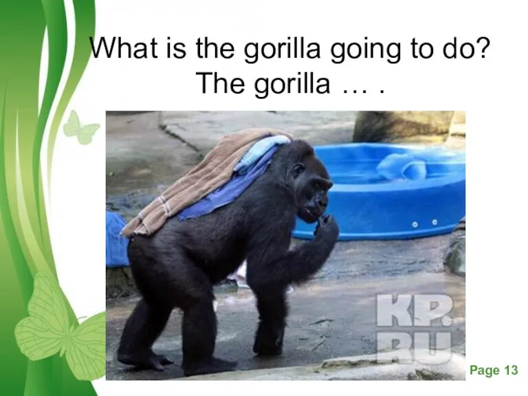 What is the gorilla going to do? The gorilla … .
