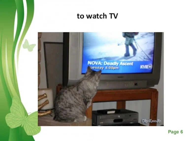 to watch TV