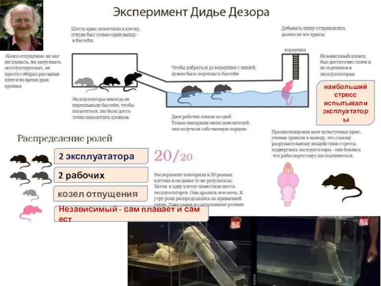 2 эксплуататора 2 рабочих козел отпущения Независимый - сам плавает и сам