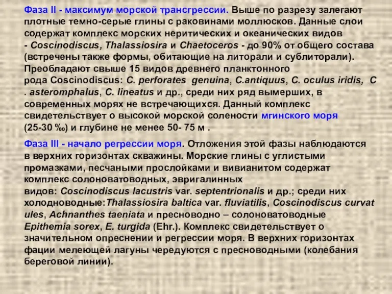 Фаза II - максимум морской трансгрессии. Выше по разрезу залегают плотные темно-серые