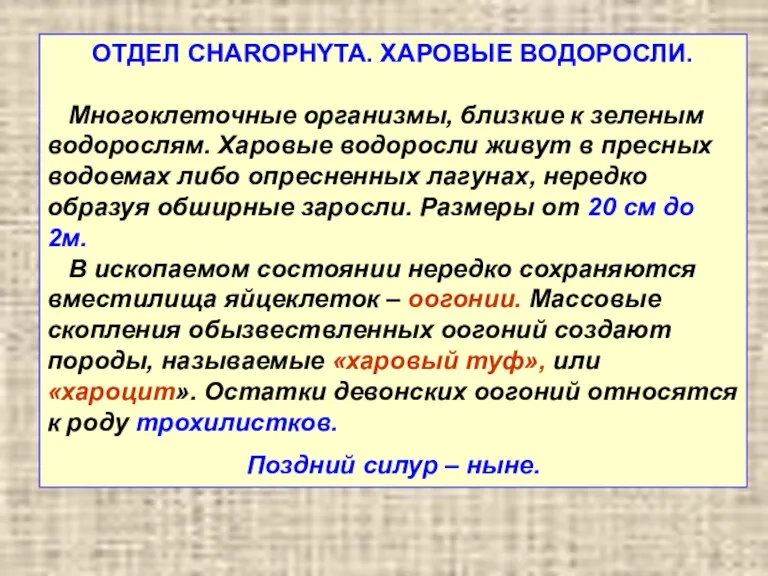 ОТДЕЛ CHAROPHYTA. ХАРОВЫЕ ВОДОРОСЛИ. Многоклеточные организмы, близкие к зеленым водорослям. Харовые водоросли