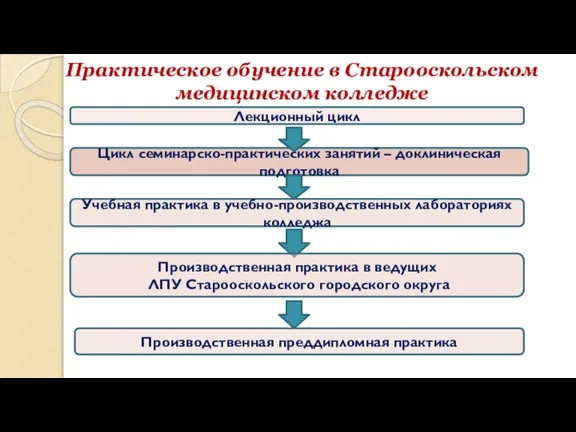 Практическое обучение в Старооскольском медицинском колледже Лекционный цикл Цикл семинарско-практических занятий –