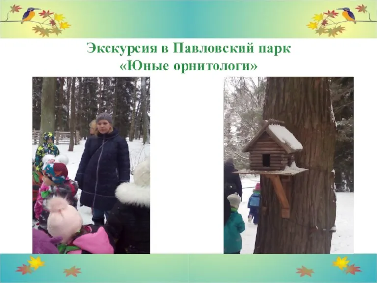 Экскурсия в Павловский парк «Юные орнитологи»