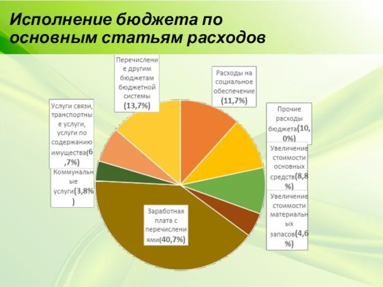 Исполнение бюджета по основным статьям расходов