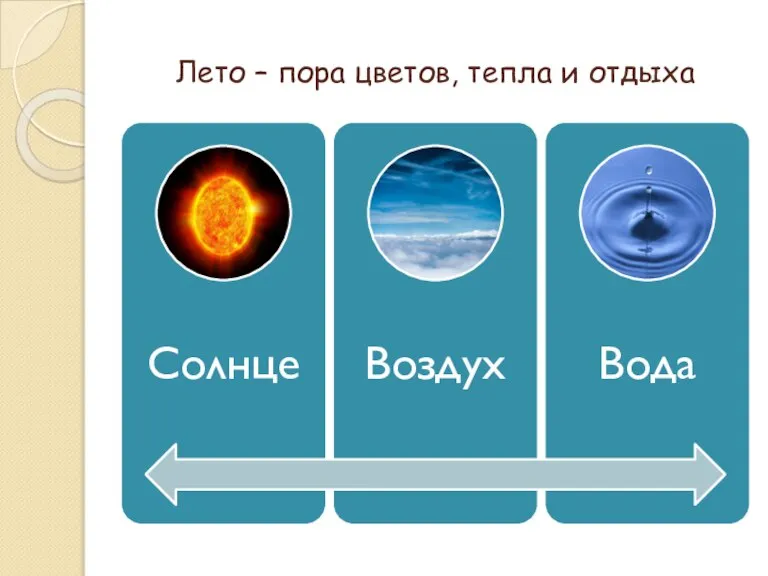 Лето – пора цветов, тепла и отдыха