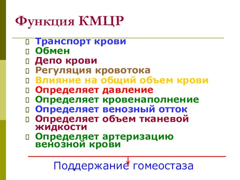 Функция КМЦР Транспорт крови Обмен Депо крови Регуляция кровотока Влияние на общий