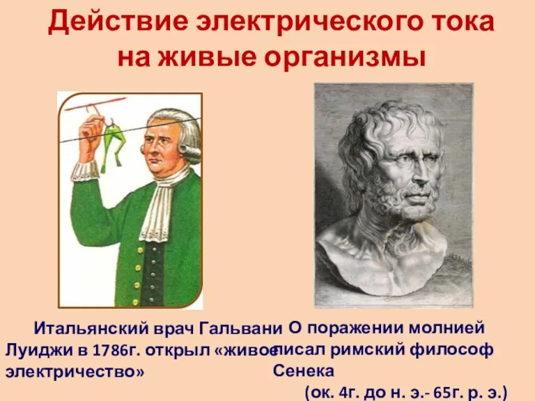 Действие электрического тока на живые организмы Итальянский врач Гальвани Луиджи в 1786г.