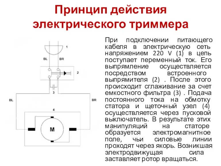 Принцип действия электрического триммера При подключении питающего кабеля в электрическую сеть напряжением