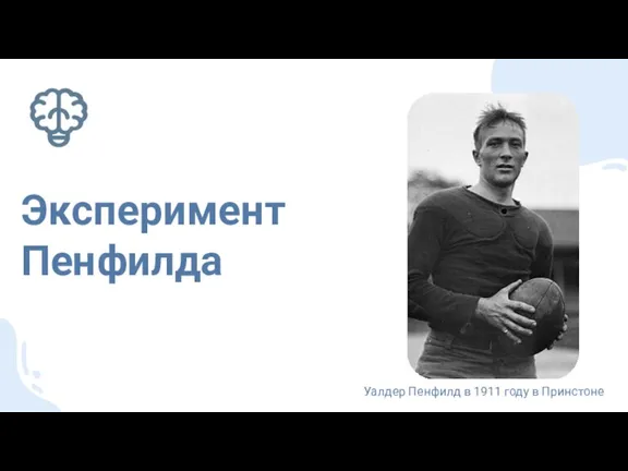 Уалдер Пенфилд в 1911 году в Принстоне Эксперимент Пенфилда