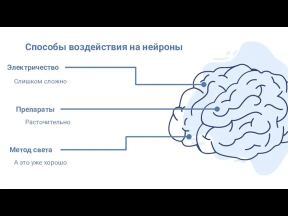 А это уже хорошо Слишком сложно Способы воздействия на нейроны Препараты Электричество Расточительно Метод света