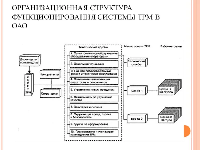 ОРГАНИЗАЦИОННАЯ СТРУКТУРА ФУНКЦИОНИРОВАНИЯ СИСТЕМЫ ТРМ В ОАО