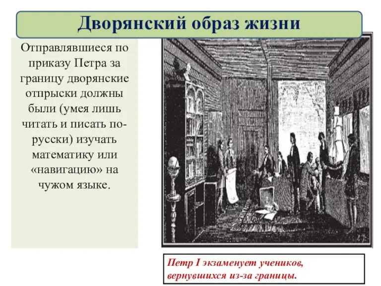 Отправлявшиеся по приказу Петра за границу дворянские отпрыски должны были (умея лишь