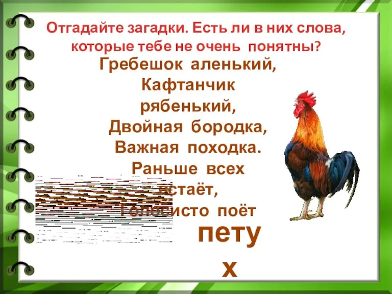 петух Гребешок аленький, Кафтанчик рябенький, Двойная бородка, Важная походка. Раньше всех встаёт,