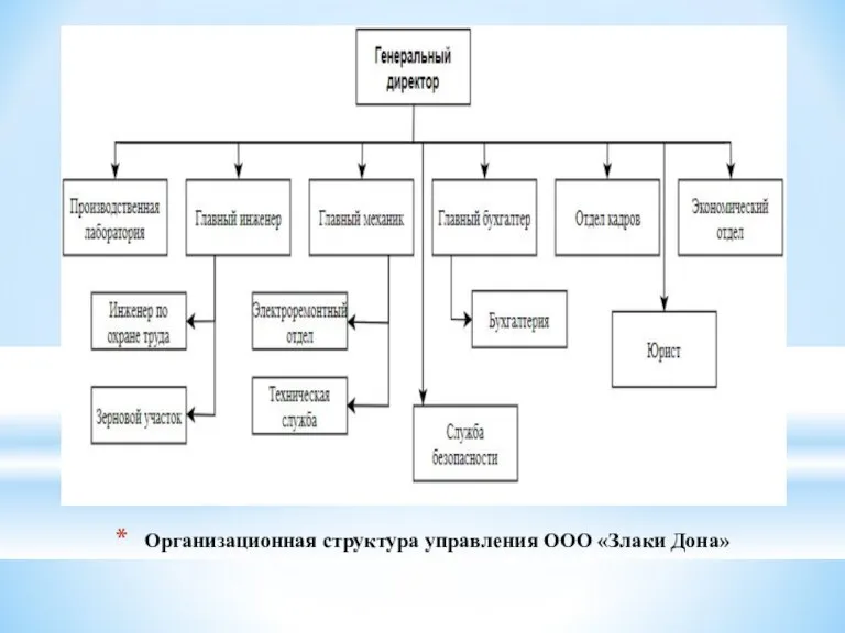 Организационная структура управления ООО «Злаки Дона»