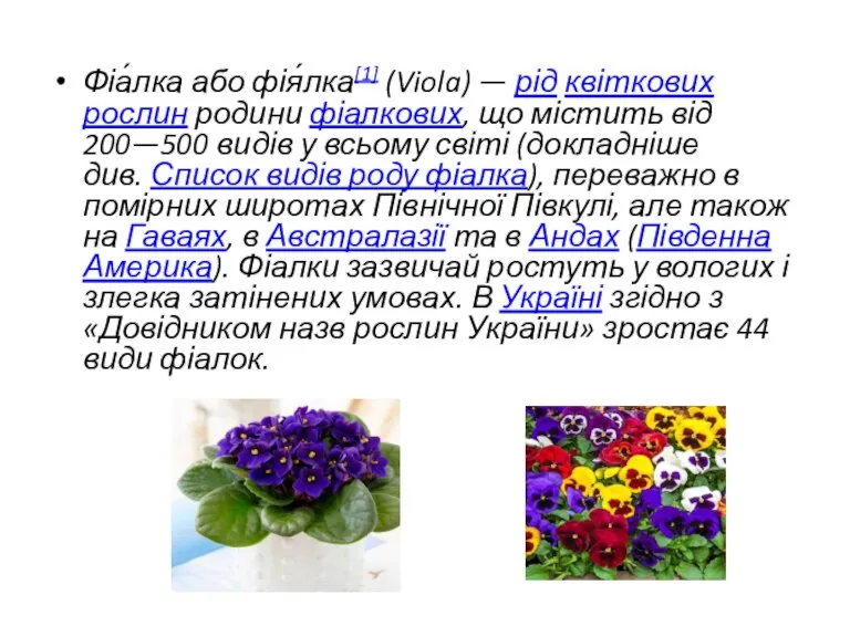 Фіа́лка або фія́лка[1] (Viola) — рід квіткових рослин родини фіалкових, що містить