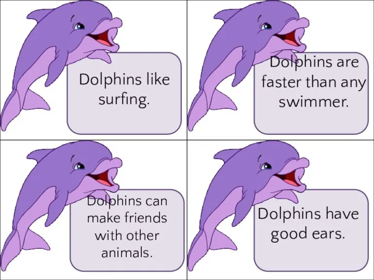 Dolphins like surfing. Dolphins can make friends with other animals. Dolphins are