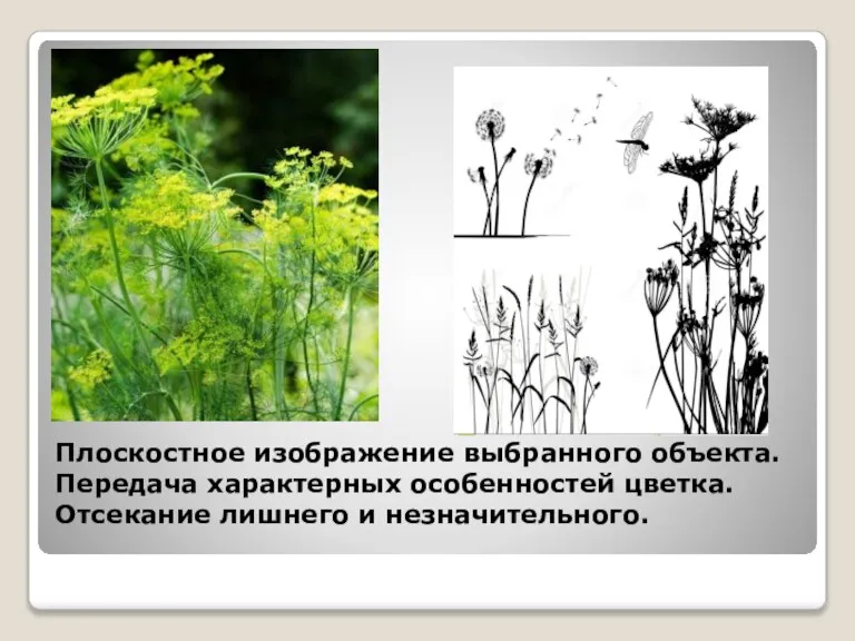 Плоскостное изображение выбранного объекта. Передача характерных особенностей цветка. Отсекание лишнего и незначительного.