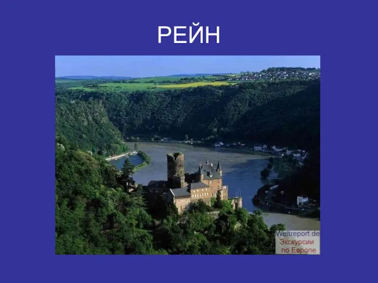 РЕЙН