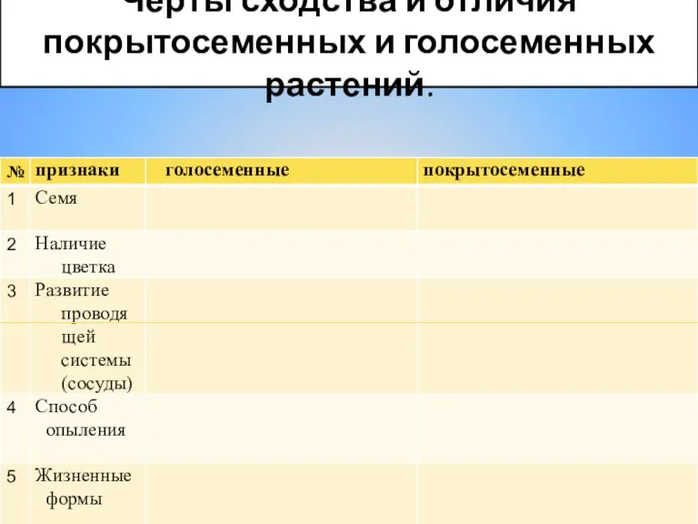 Черты сходства и отличия покрытосеменных и голосеменных растений.