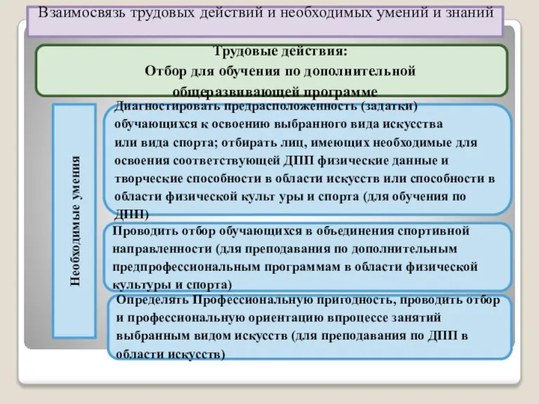 Трудовые действия: Отбор для обучения по дополнительной общеразвивающей программе Взаимосвязь трудовых действий