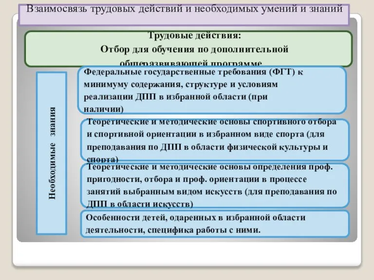 Трудовые действия: Отбор для обучения по дополнительной общеразвивающей программе Взаимосвязь трудовых действий