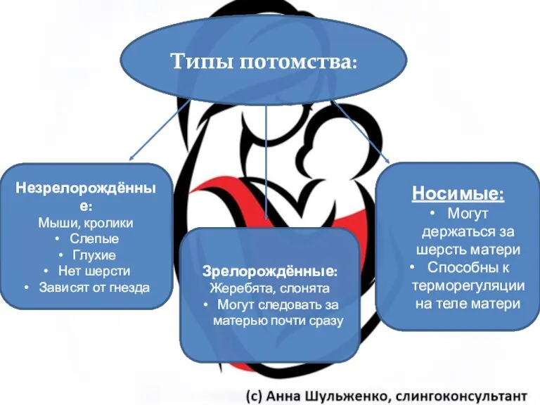 Типы потомства: Незрелорождённые: Мыши, кролики Слепые Глухие Нет шерсти Зависят от гнезда