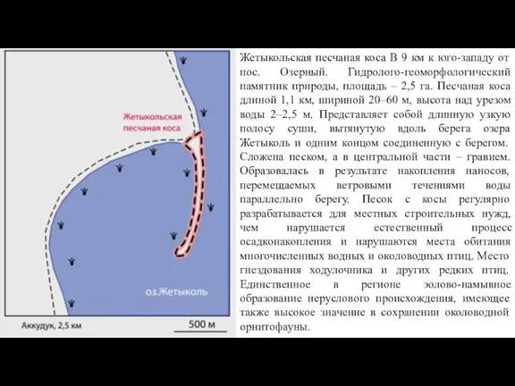 Жетыкольская песчаная коса В 9 км к юго-западу от пос. Озерный. Гидролого-геоморфологический