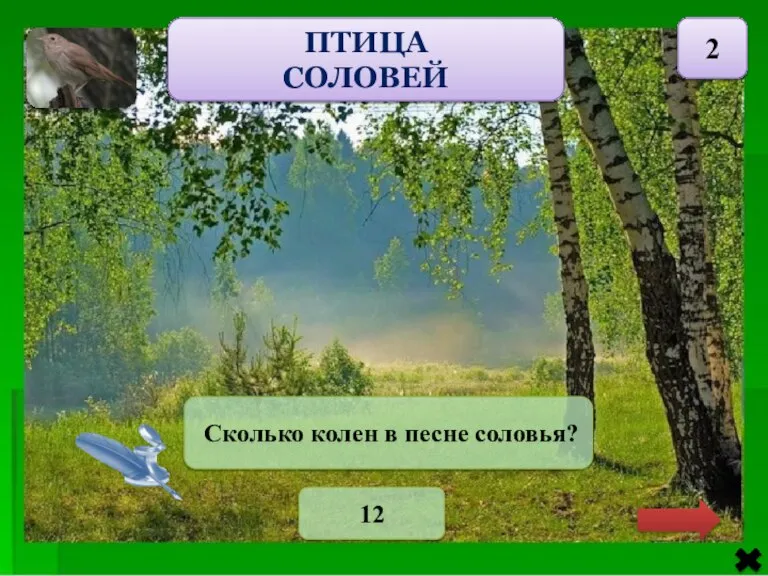 ПТИЦА СОЛОВЕЙ 2 Сколько колен в песне соловья? 12