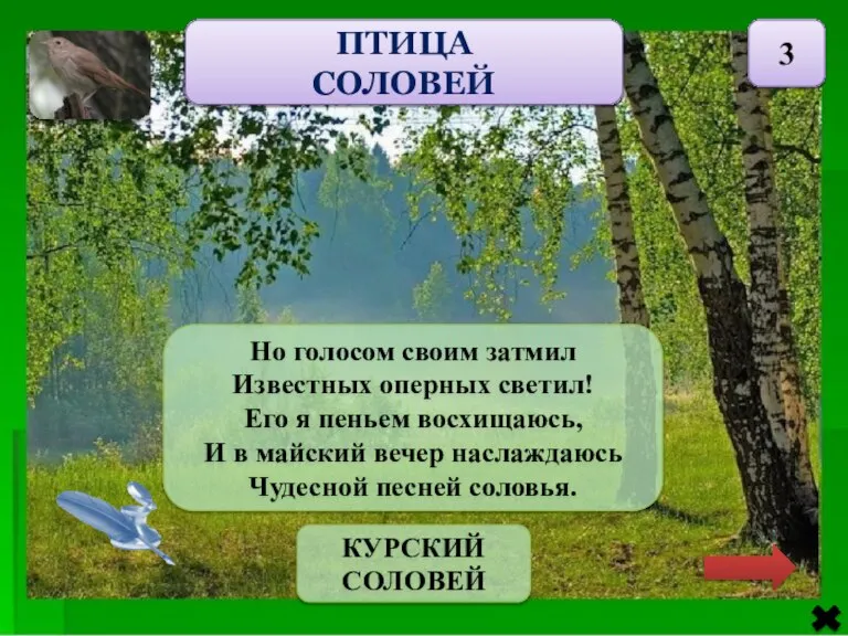 ПТИЦА СОЛОВЕЙ 3 Но голосом своим затмил Известных оперных светил! Его я