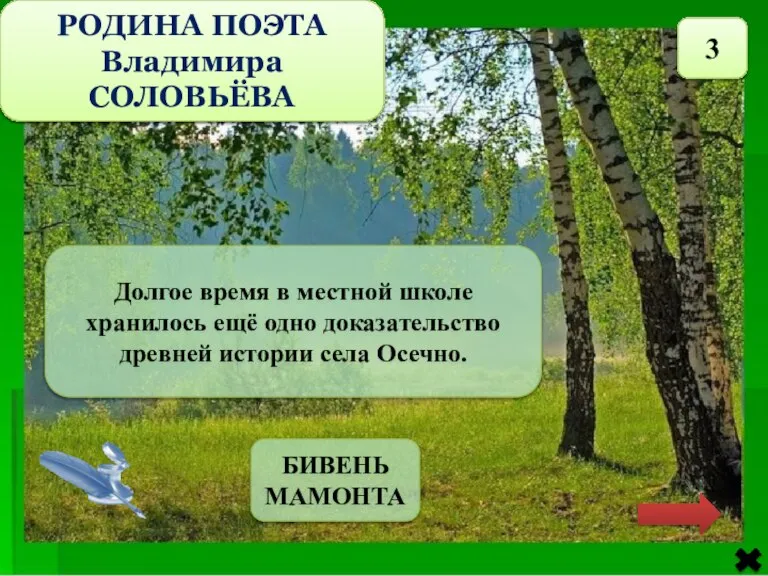 РОДИНА ПОЭТА Владимира СОЛОВЬЁВА 3 Долгое время в местной школе хранилось ещё