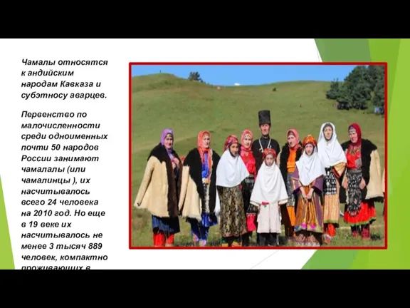 Чамалы относятся к андийским народам Кавказа и субэтносу аварцев. Первенство по малочисленности